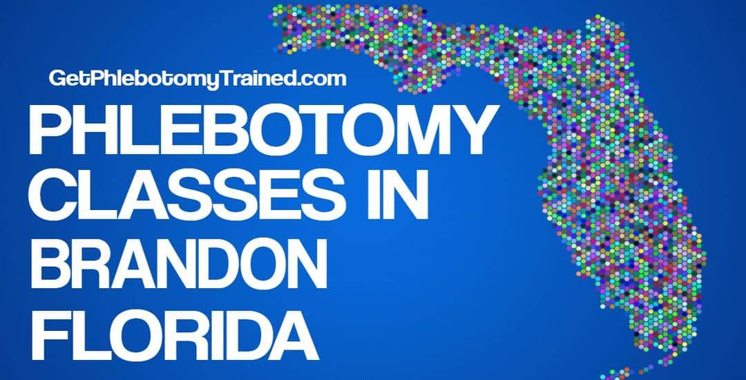 phlebotomy course brandon fl